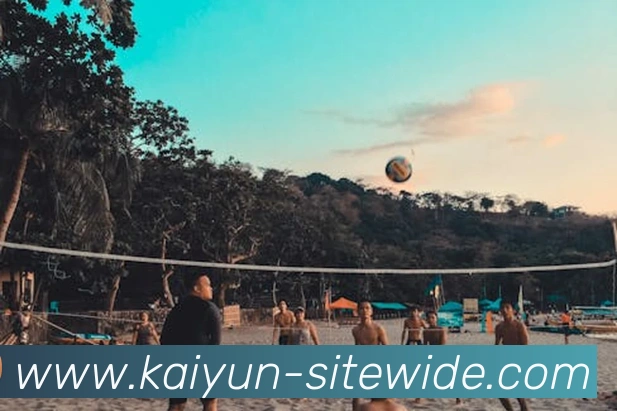 开云全站App 开云全站App